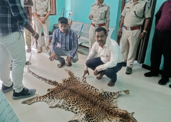 Vigilance leopard skin seizure Nuapada