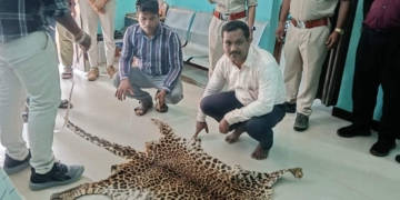 Vigilance leopard skin seizure Nuapada