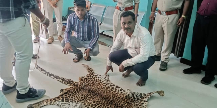 Vigilance leopard skin seizure Nuapada