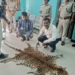 Vigilance leopard skin seizure Nuapada