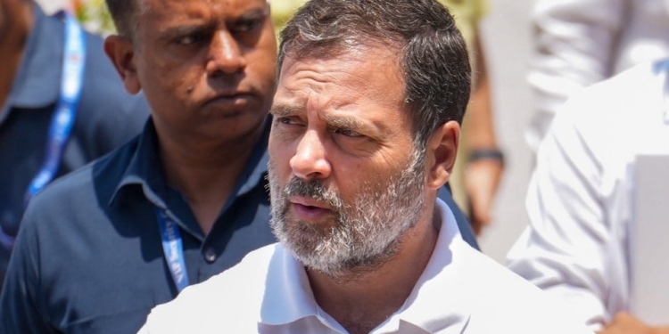 'Everyone's Equal Before Us': SC Tells Complainant in Rahul Gandhi Defamation Case