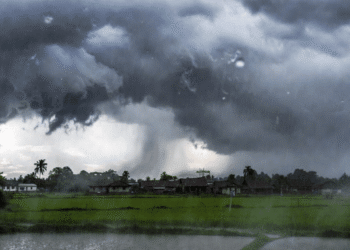 Rain Continues To Batter Odisha; Red Warning For 2 Districts, Orange Alert in 6 Districts