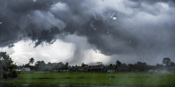 Rain Continues To Batter Odisha; Red Warning For 2 Districts, Orange Alert in 6 Districts