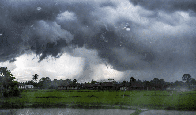 Rain Continues To Batter Odisha; Red Warning For 2 Districts, Orange Alert in 6 Districts