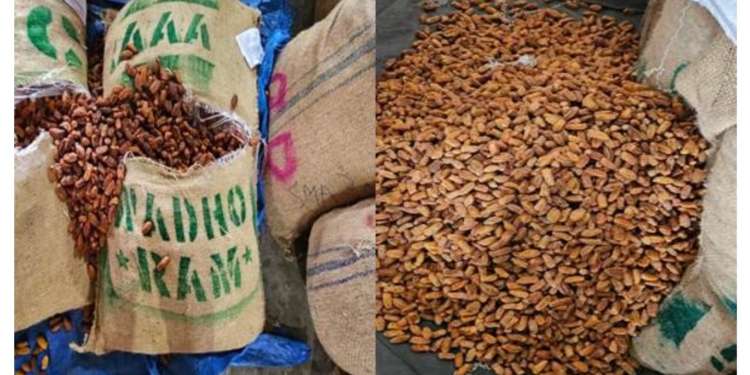 DRI Pakistan-origin dry dates