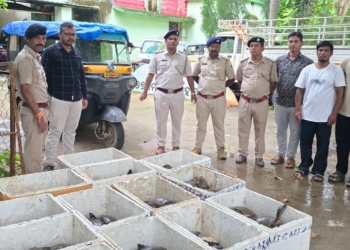 Malkangiri turtle seizure