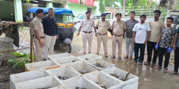 Malkangiri turtle seizure