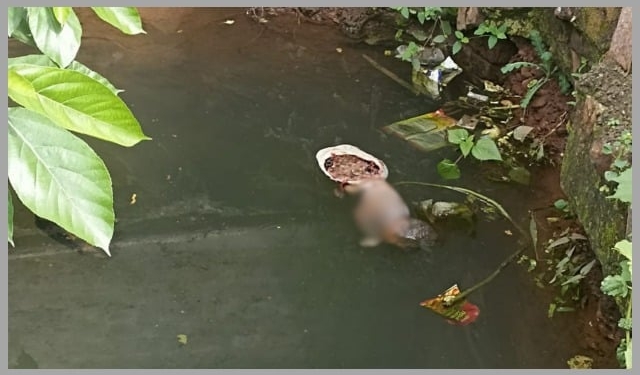 Newborn found dead in Tumudibandha