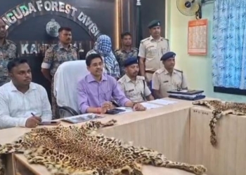 leopard skin seizure