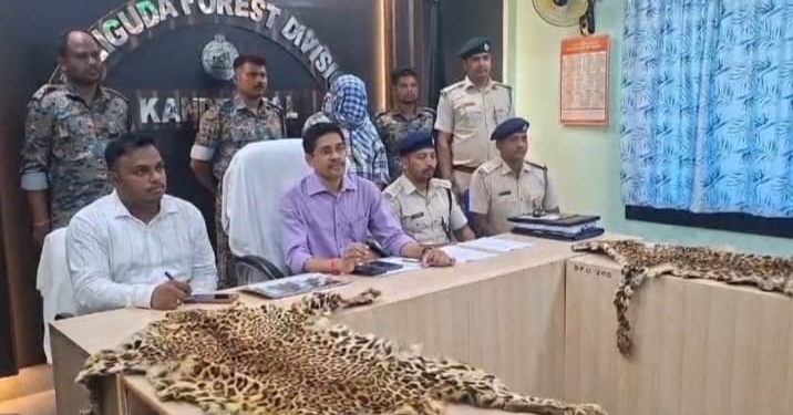 leopard skin seizure