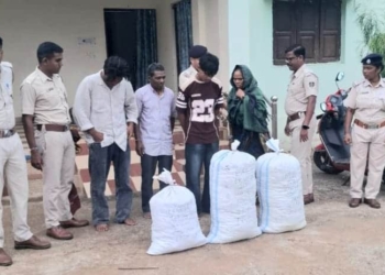 Balangir ganja seizure