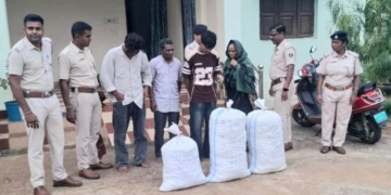 Balangir ganja seizure