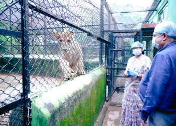 Nandankanan tourist infrastructure review