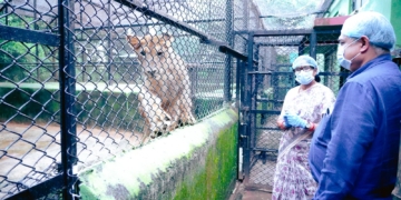 Nandankanan tourist infrastructure review