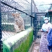 Nandankanan tourist infrastructure review