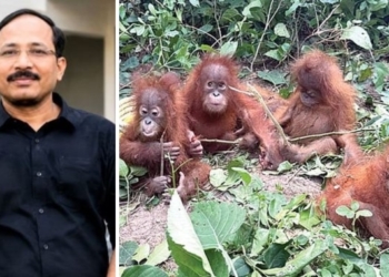 Odisha orangutans rescue case