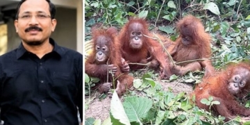 Odisha orangutans rescue case