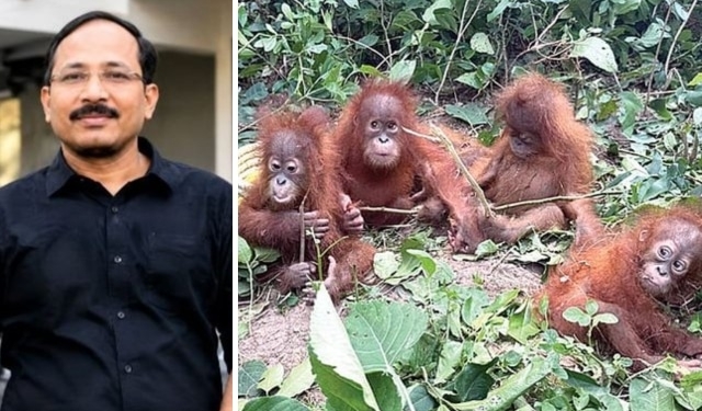 Odisha orangutans rescue case