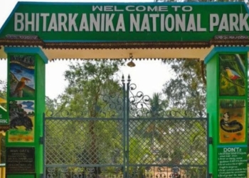 Bhitarkanika bird census