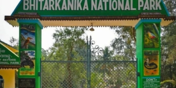 Bhitarkanika bird census
