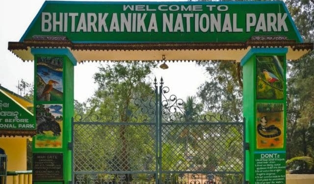Bhitarkanika bird census