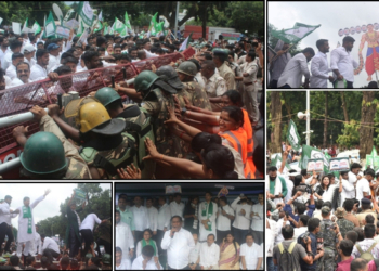 BJD Assembly protest textbook errors