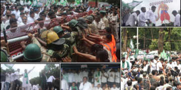 BJD Assembly protest textbook errors