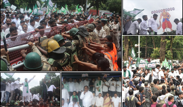 BJD Assembly protest textbook errors
