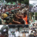 BJD Assembly protest textbook errors