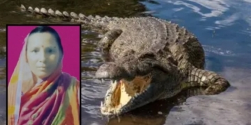 Kendrapada crocodile attack