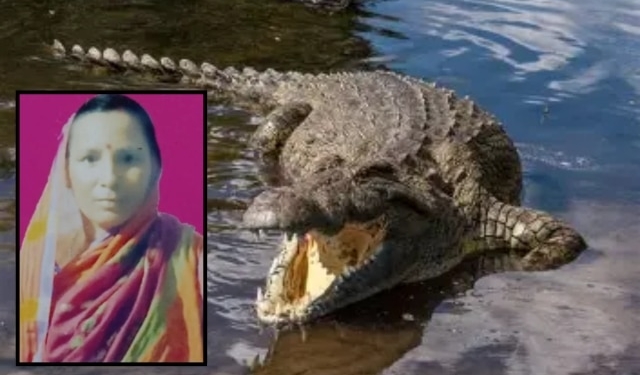 Kendrapada crocodile attack