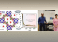 wave-like heat transport thermoelectric conversion