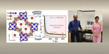 wave-like heat transport thermoelectric conversion
