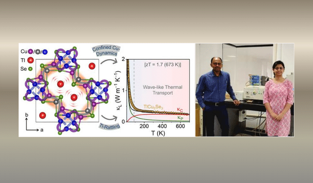 wave-like heat transport thermoelectric conversion