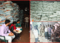 Balangir courier ganja syndicate