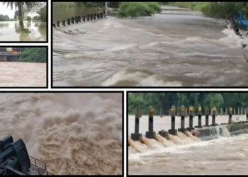 Odisha flood situation