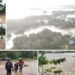 Water Levels Rise Again in Odisha Rivers