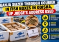 Odisha ganja seizure courier judge address