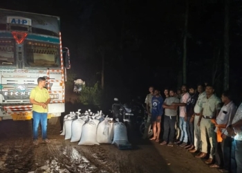 Kalahandi ganja seizure