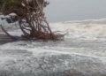 Jagatsinghpur sea breach