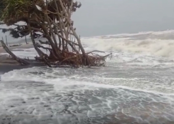 Jagatsinghpur sea breach