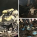 Jagatpur dairy factory fire