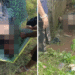 Sambalpur minor murder
