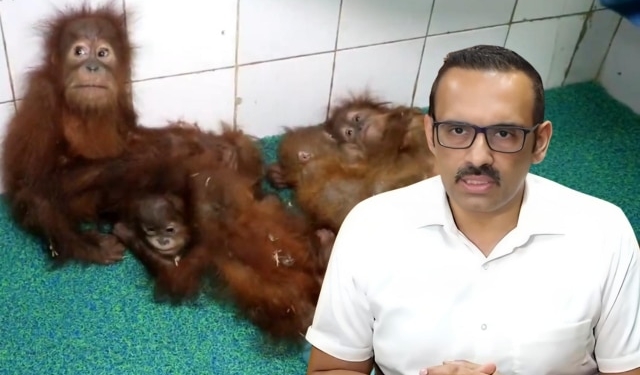 Odisha orangutan trafficking probe