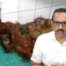 Odisha orangutan trafficking probe