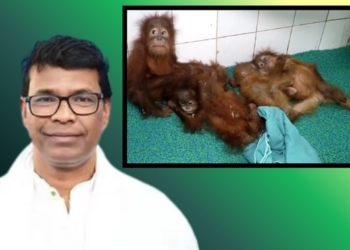 Orangutans to Stay at Nandankanan