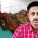 Orangutan trafficking Odisha RCCF