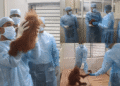 rescued orangutans Nandankanan health check