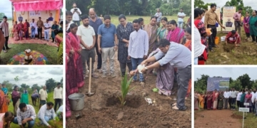 Ek Ped Maa Ke Naam 3.0 Odisha