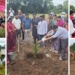 Ek Ped Maa Ke Naam 3.0 Odisha